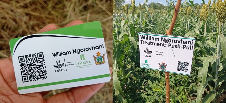 ID card with unique QR code received by each farmer hosting a trial in the CGIAR Agroecology initiative in Zimbabwe (left) and signage with a unique QR code for each plot/treatment in the corresponding trial